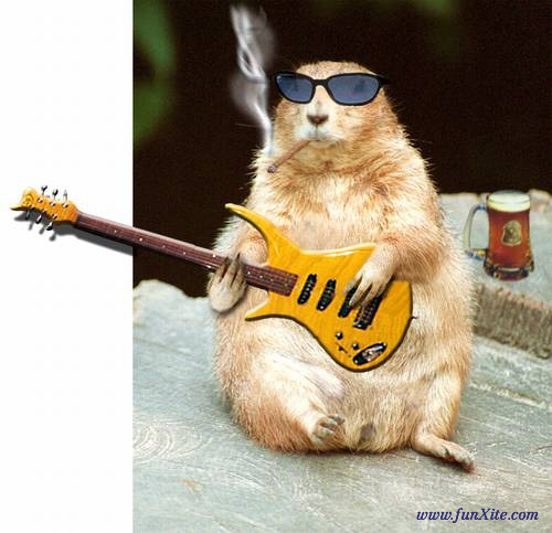 9076-rock-singer