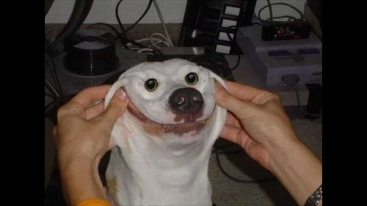 maxresdefault