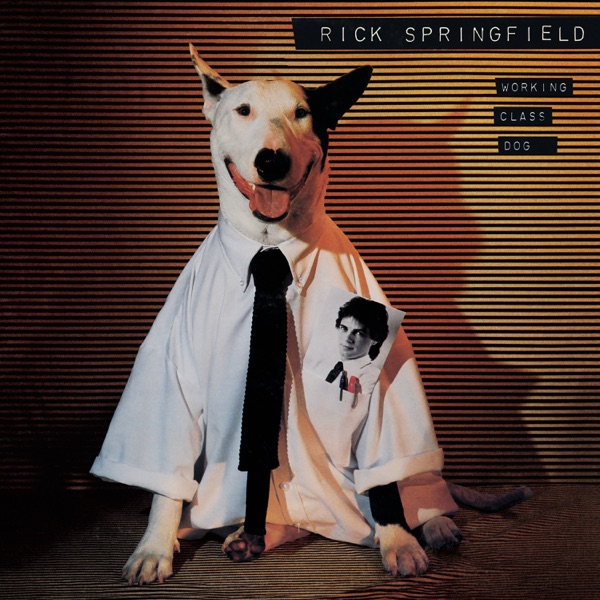 RICK SPRINGFIELD - JESSIE'S GIRL artwork