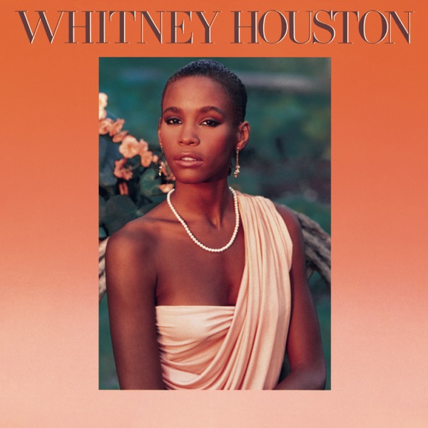 WHITNEY HOUSTON - HOW WILL I KNOW artwork
