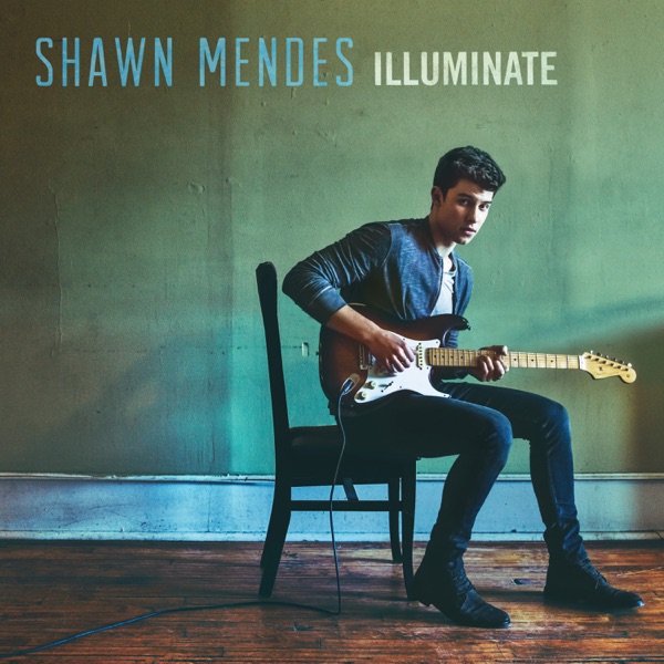 SHAWN MENDES - TREAT YOU BETTER artwork