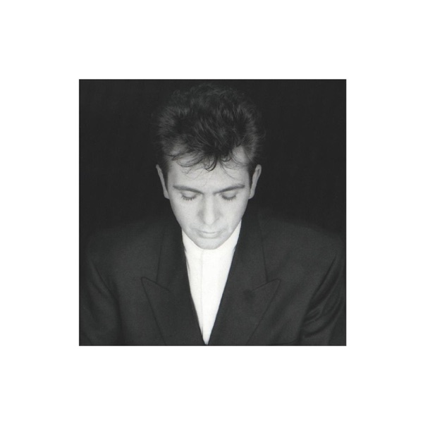 PETER GABRIEL - SOLSBURY HILL artwork