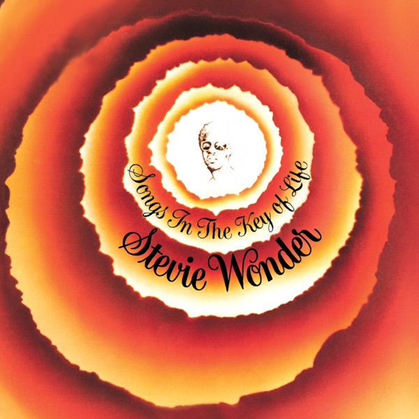 STEVIE WONDER - ISN T SHE LOVELY artwork