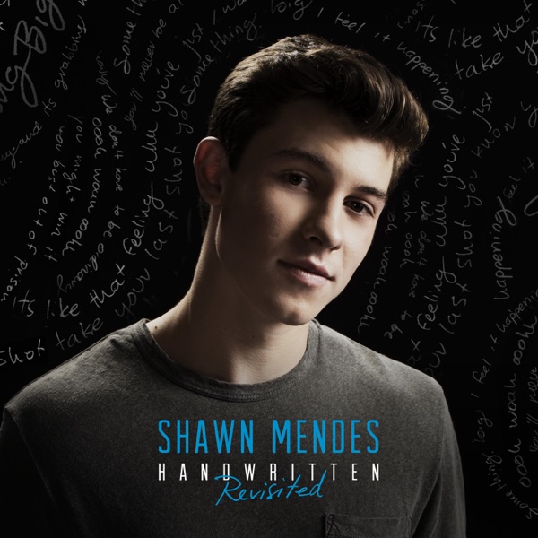 SHAWN MENDES - STITCHES artwork