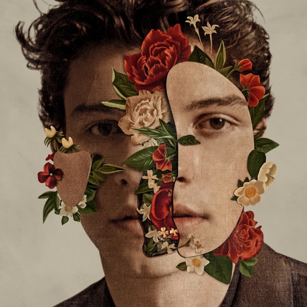 SHAWN MENDES - IF I CAN'T HAVE YOU artwork