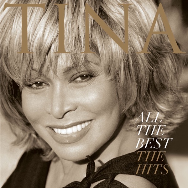 TINA TURNER - THE BEST artwork