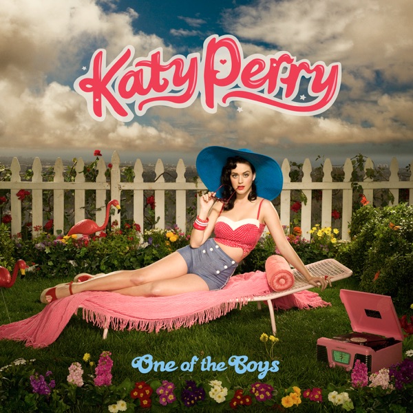 KATY PERRY - HOT N COLD artwork