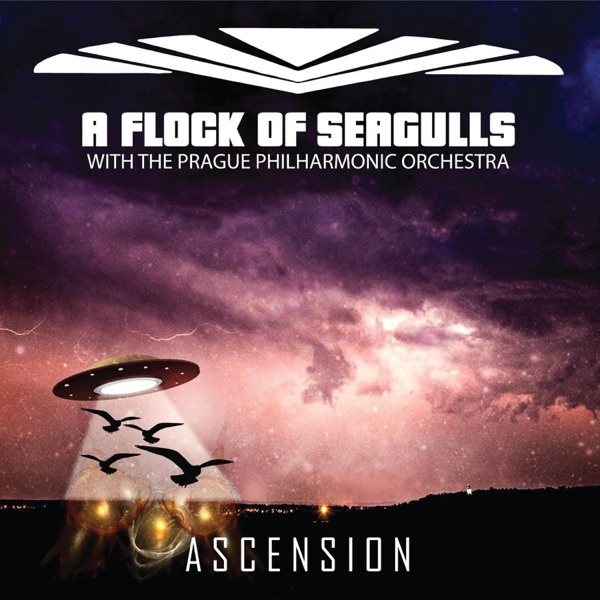 A FLOCK OF SEAGULLS - WISHING artwork