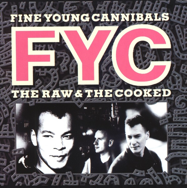 FINE YOUNG CANNIBALS - SHE DRIVES ME CRAZY artwork