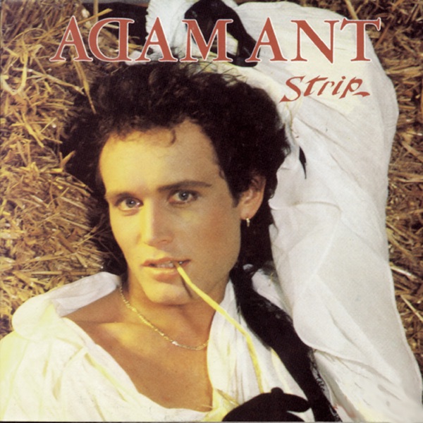 ADAM ANT - STRIP artwork