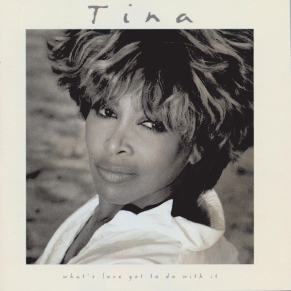 TINA TURNER - I DON'T WANNA FIGHT artwork